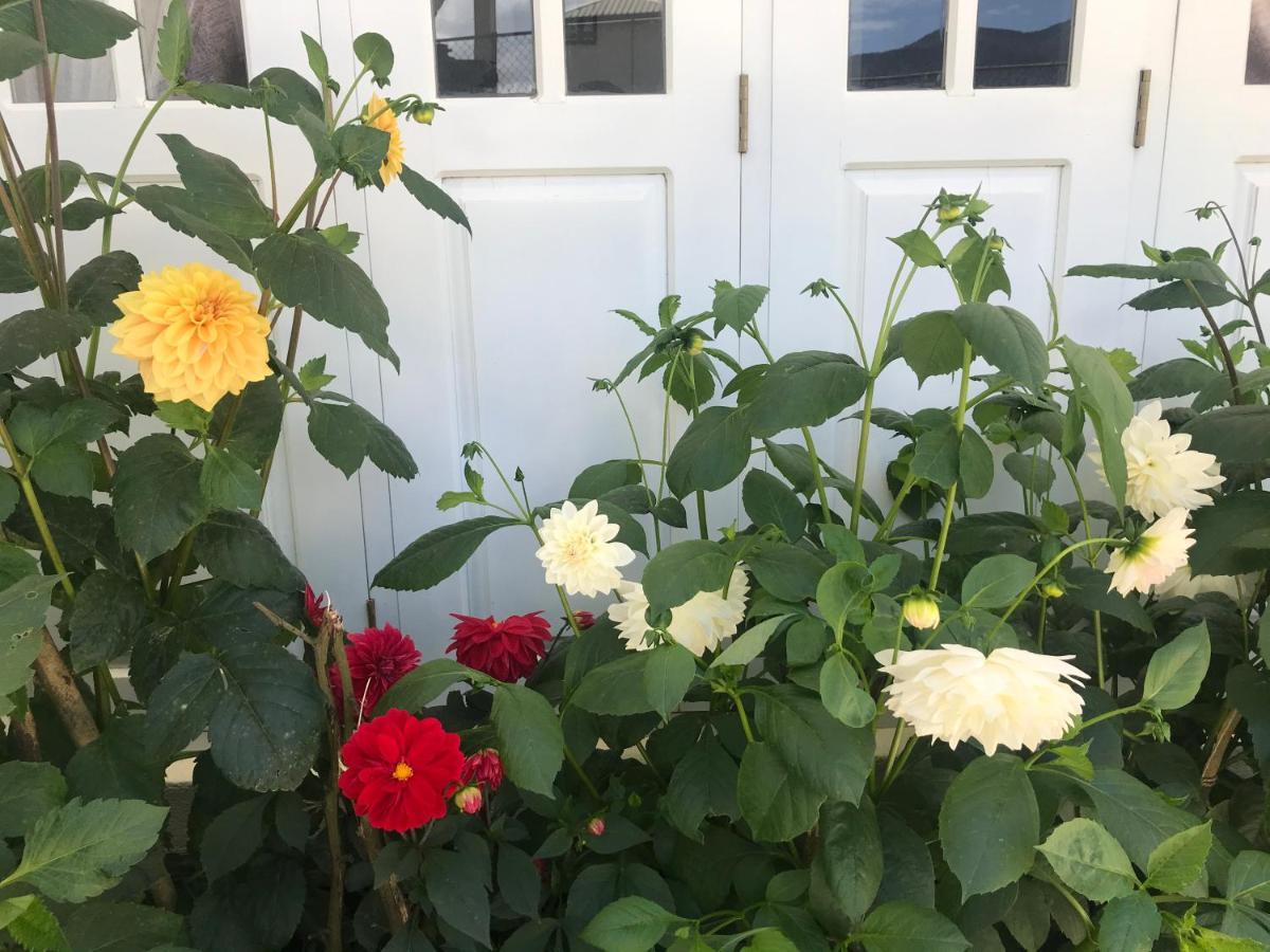 Dahlia Mount View Hotel 努沃勒埃利耶 外观 照片