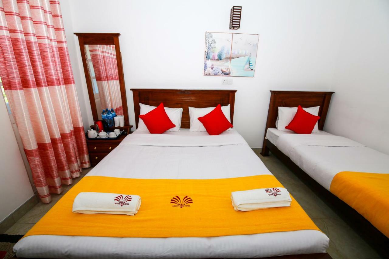 Dahlia Mount View Hotel 努沃勒埃利耶 外观 照片