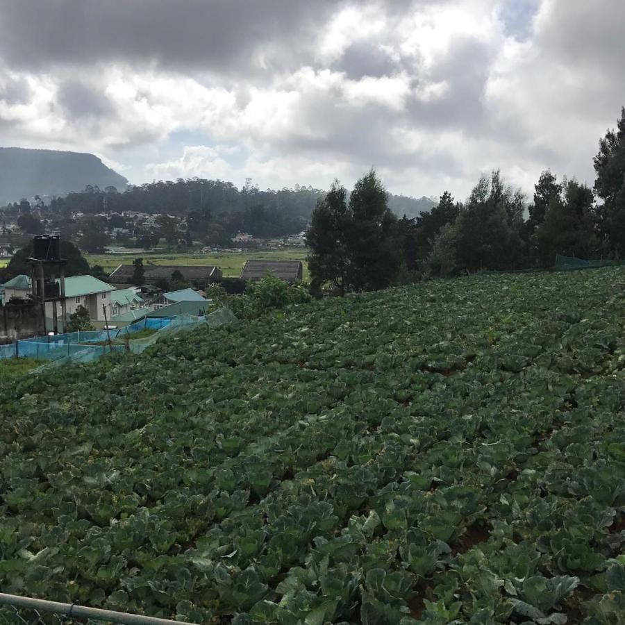Dahlia Mount View Hotel 努沃勒埃利耶 外观 照片
